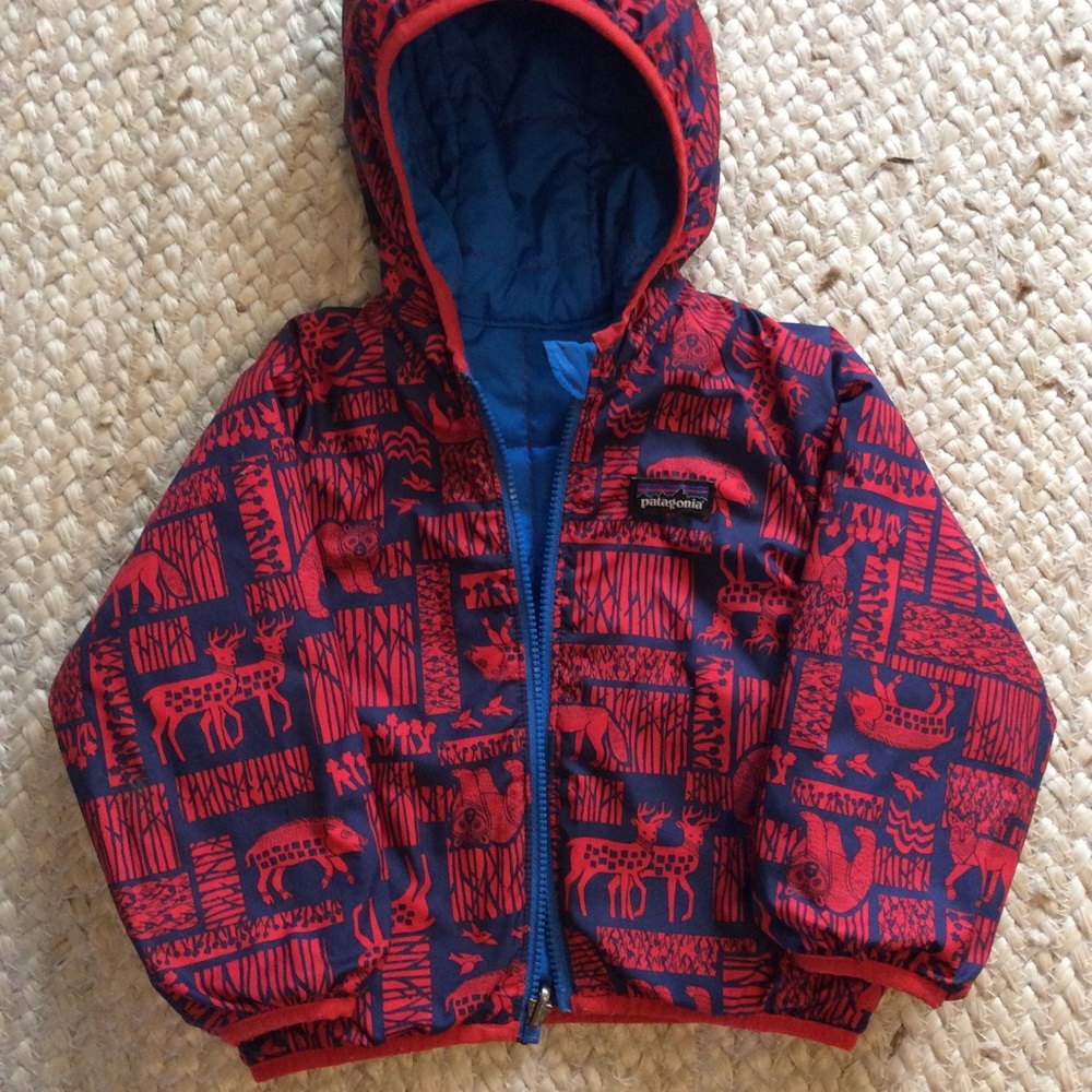 Patagonia Down Hoodie SZ 2T